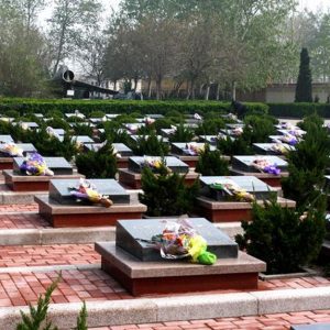 src=http___www.crt.com.cn_2016newsimages_xinhonglv107.jpg&refer=http___www.crt.com
